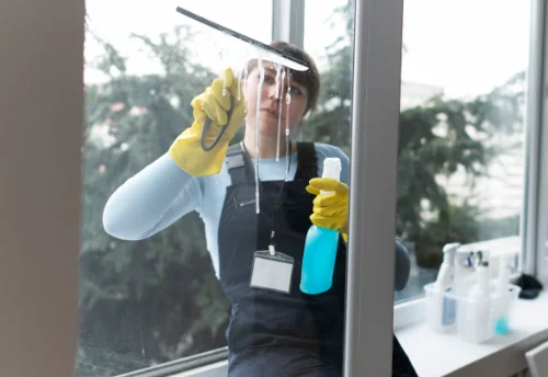 Nettoyage de vitres intérieures et extérieures à Brassy